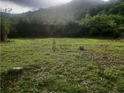 Vista 1