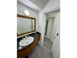 Vista 15