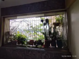 Vista 28