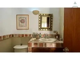 Vista 24