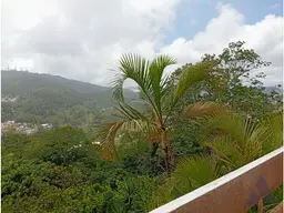 Vista 25