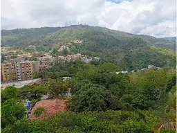 Vista 6