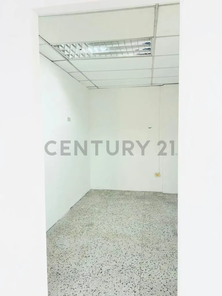 LOCAL COMERCIAL - 3
