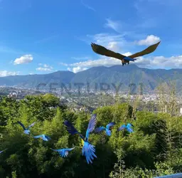 View 13