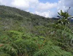Vista 4