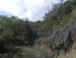 Vista 5