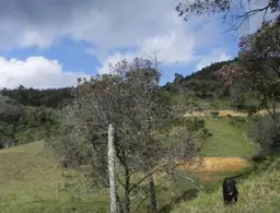 Vista 6