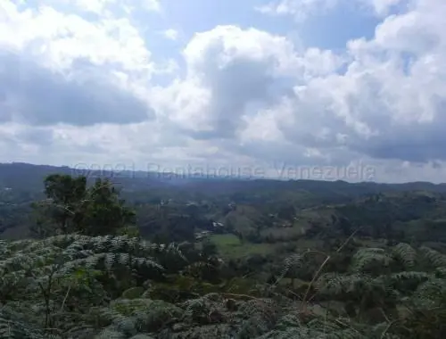 Terreno (Finca) en Venta en Santa Lucia, Miranda - 7