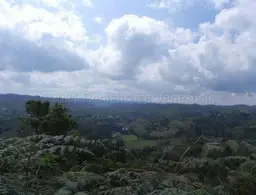 Vista 7
