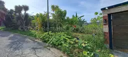 View 1