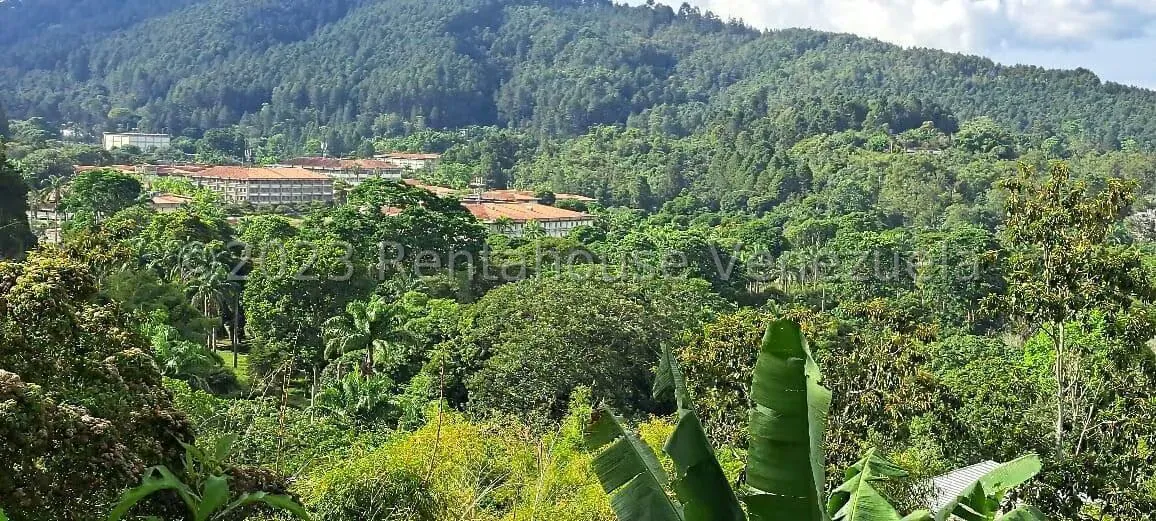 Terreno (Residencial) en Venta en Monte Elena, Distrito Metropolitano - 14