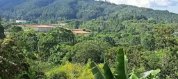 View 14