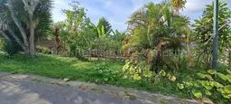 View 5