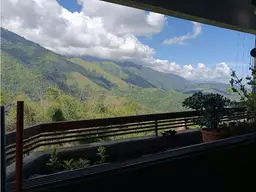 Vista 14