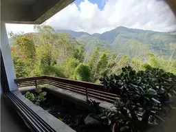 Vista 15