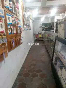 Vista 4