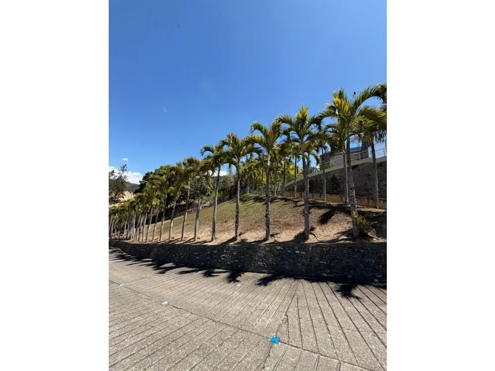 Vendo casa 6000m2 Lomas de la Trinidad 9986 - 2