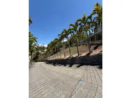 Vista 4