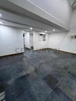 Vista 4