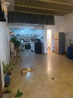 Vista 14