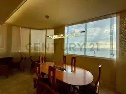 Vista 15
