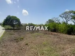 Vista 4