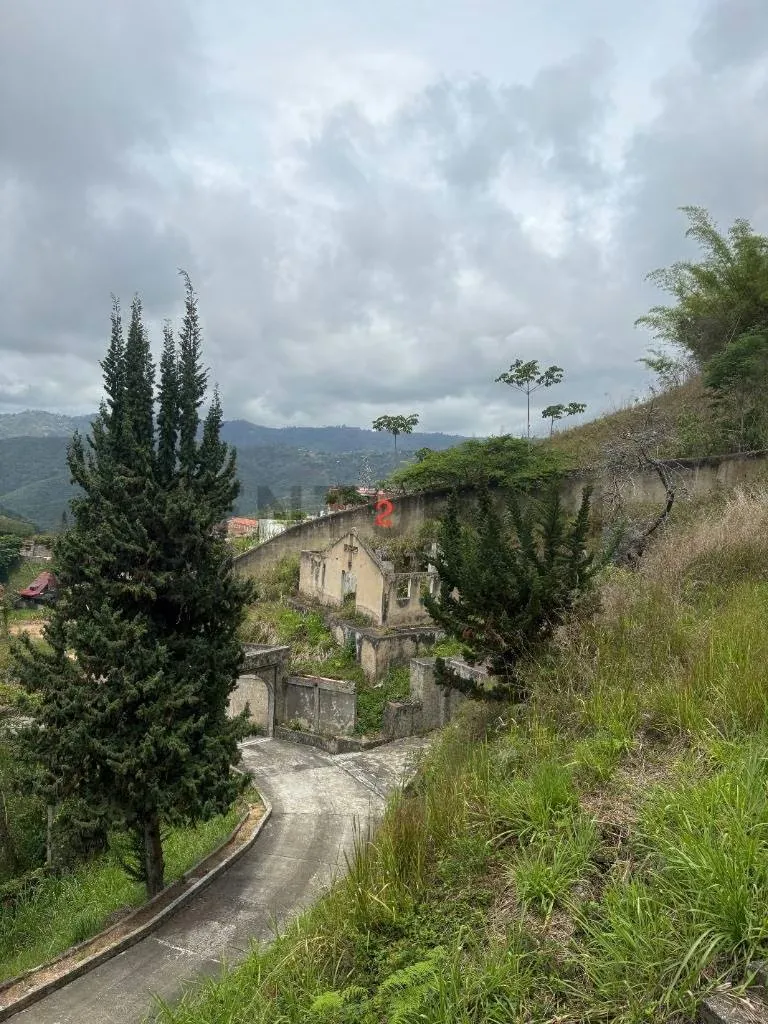 El Hatillo Caicaguana zona privilegiada para posada o familia numerosa - 2