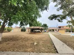 View 24