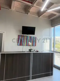 Vista 1