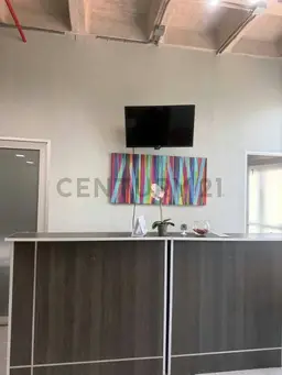 Vista 4