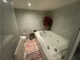Vista 43