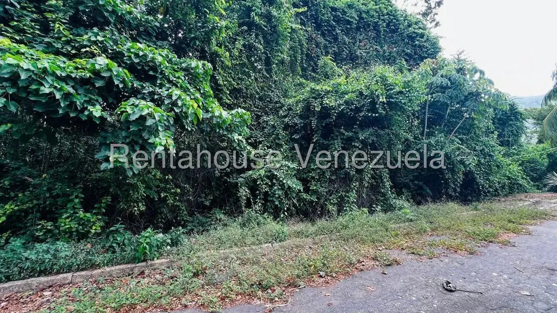 Terreno (Residencial) en Venta en Bahia de Cata, Aragua - 11