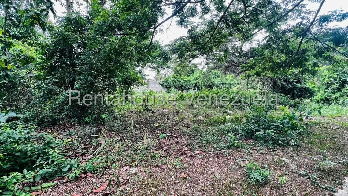 Terreno (Residencial) en Venta en Bahia de Cata, Aragua - 2