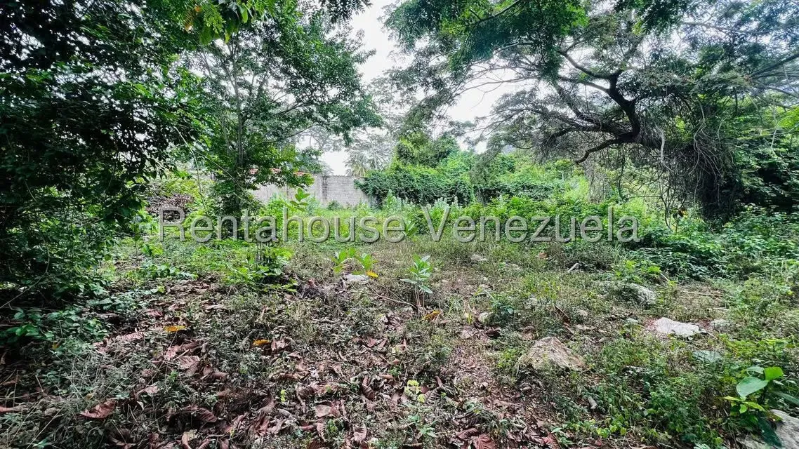 Terreno (Residencial) en Venta en Bahia de Cata, Aragua - 4