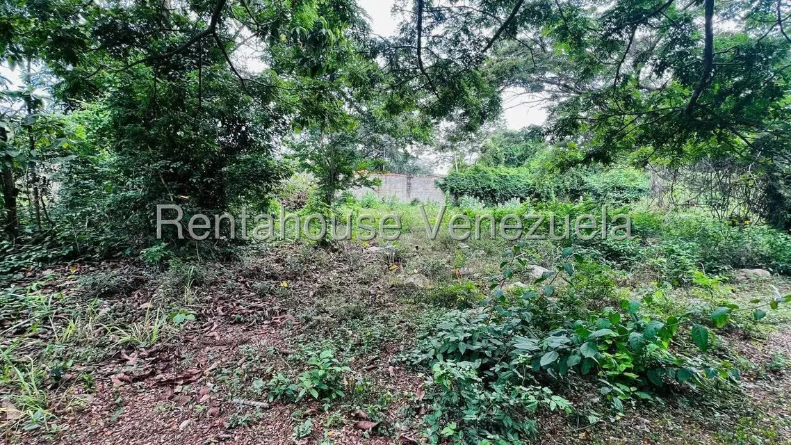 Terreno (Residencial) en Venta en Bahia de Cata, Aragua - 5