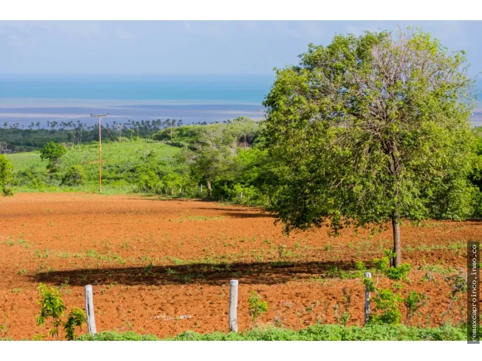 Finca de 70 Hectareas en PIRITU - FALCON con Posada - 3