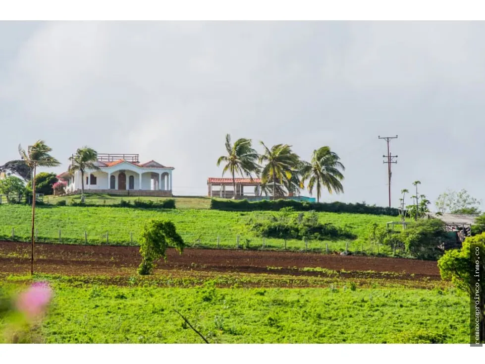 Finca de 70 Hectareas en PIRITU - FALCON con Posada - 4