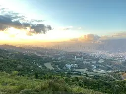 View 14