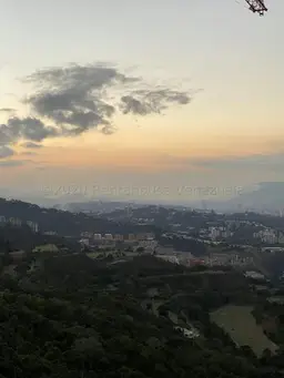 View 15