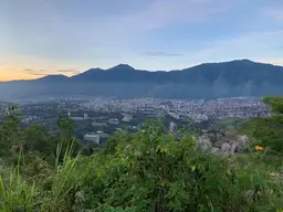 View 24