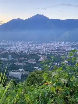 View 25