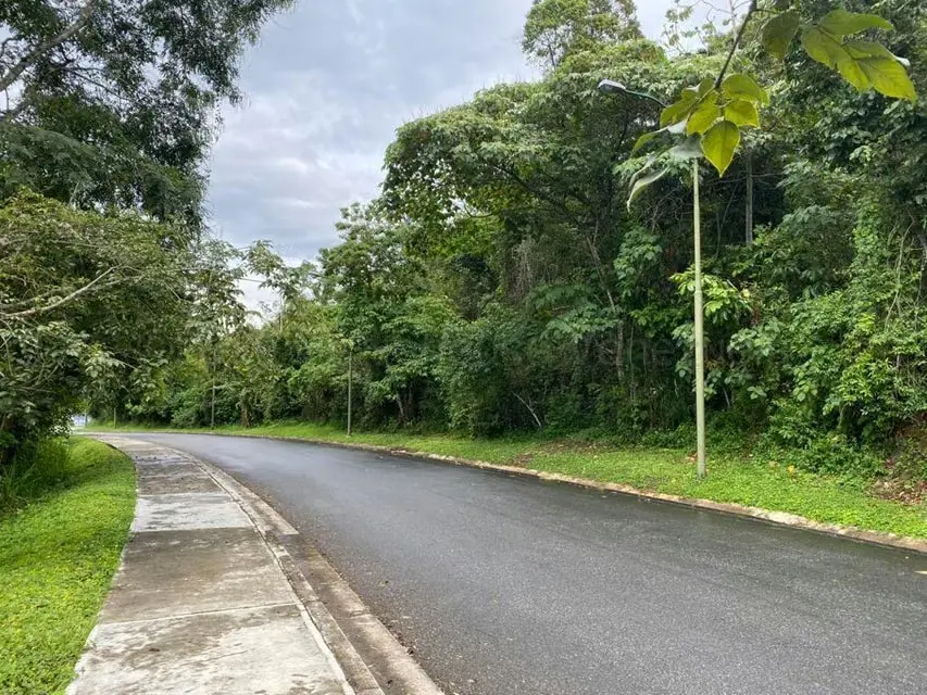 Terreno (Comercial) en Venta en Alto Hatillo, Distrito Metropolitano - 3