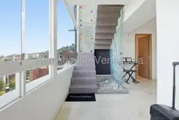 Vista 14