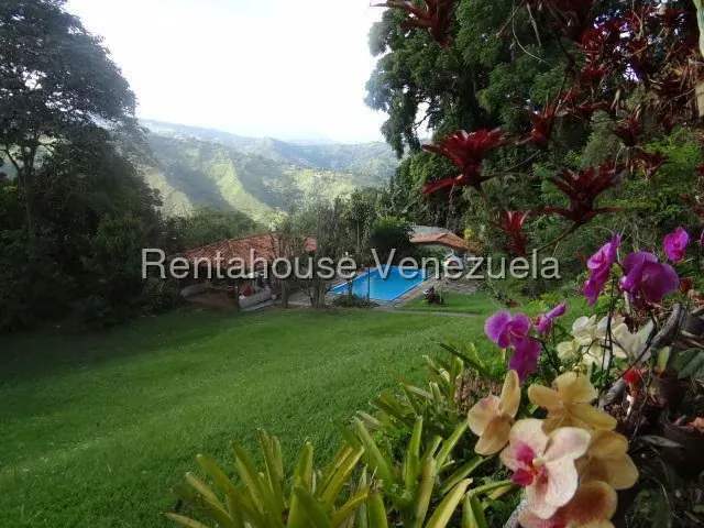 Casa (1 Nivel) en Venta en Parcelamiento Cortada del guayabo, Miranda - 2