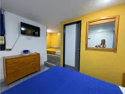 Vista 31