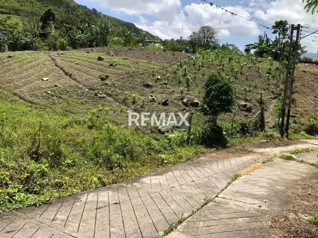 En Venta terreno en la localidad de Cedrala, aldea Roscio, - 2