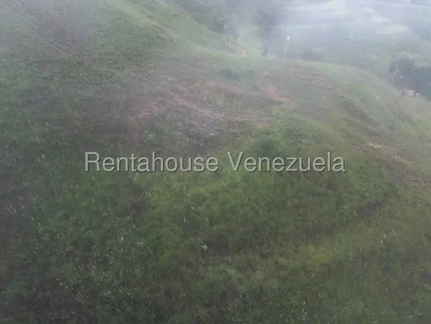 Terreno (Finca) en Venta en La Colonia Tovar, Aragua - 11