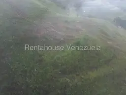 Vista 11