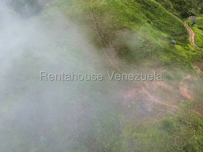 Terreno (Finca) en Venta en La Colonia Tovar, Aragua - 13