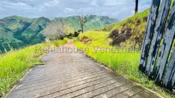 Vista 16